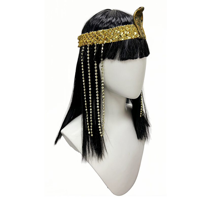 Black Straight Synthetic Wig S - Egypt Cosplay Anime recension och pris