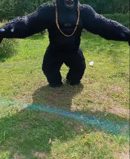 Real Life Inflatable Gorilla C - Anime Cosplay Real Life recension och pris